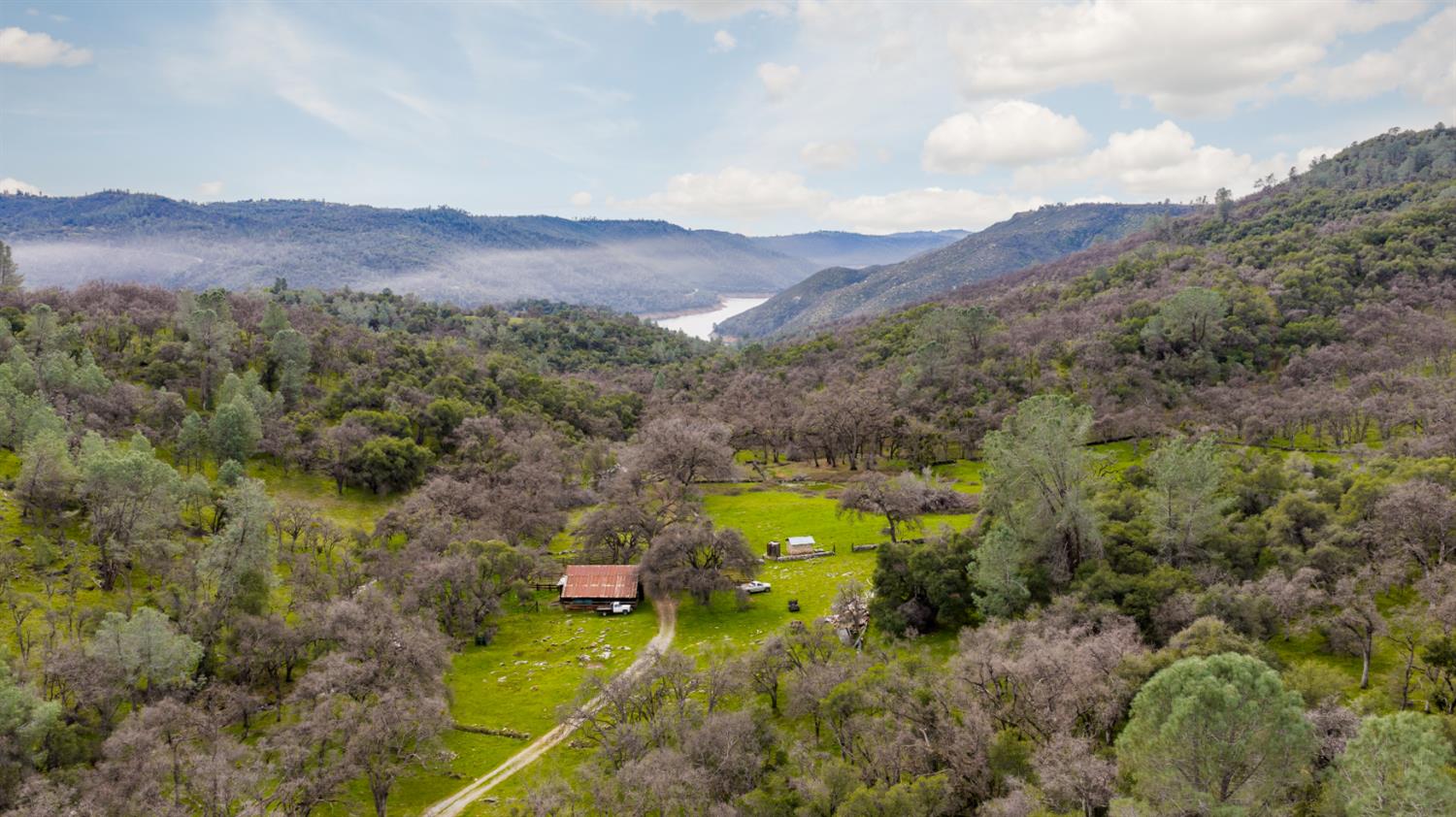 0 Skunk Gulch Road Murphys, CA 95247 - Photo 21 of 67 a view of a lush green hillside and a houses
