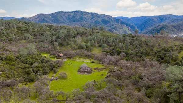 a view of house with garden space and trees