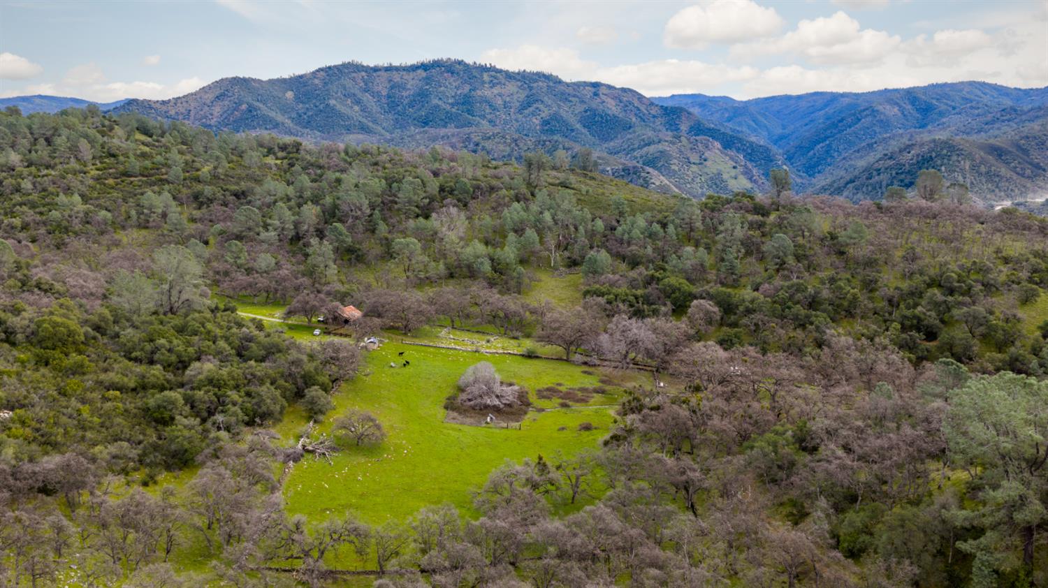 0 Skunk Gulch Road Murphys, CA 95247 - Photo 22 of 67 a view of a lush green hillside and a houses