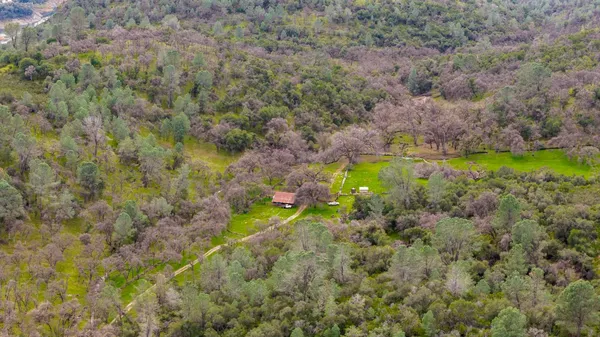a backyard of a house with lots of green space