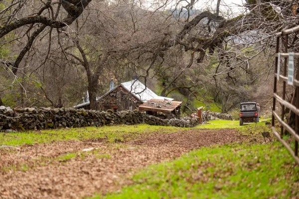 a view of a backyard with large trees
