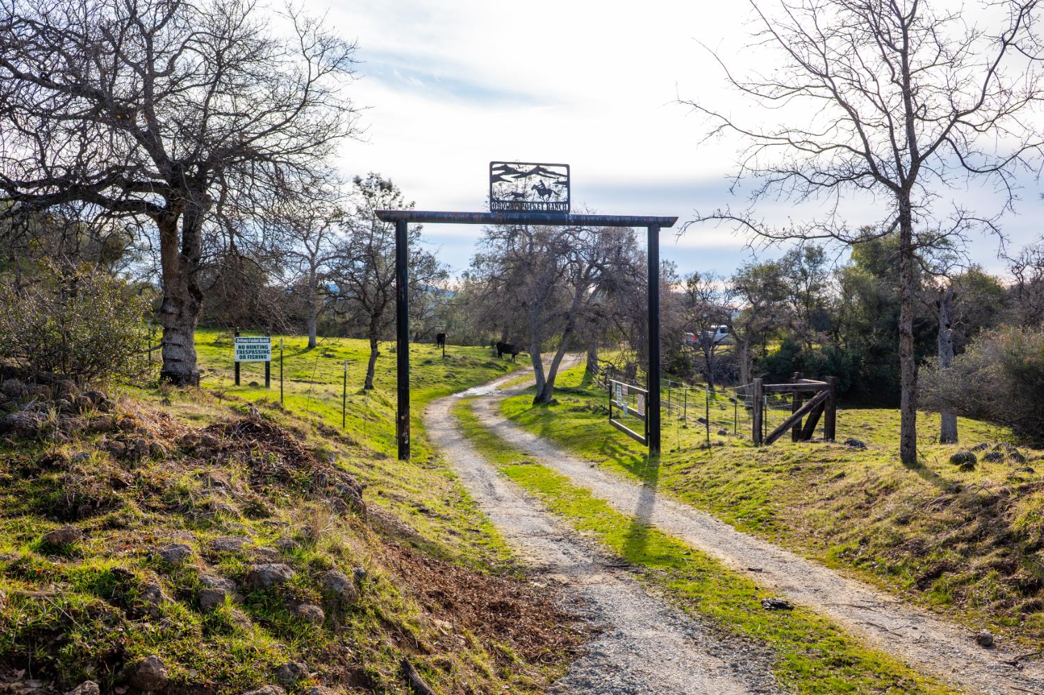 0 Skunk Gulch Road Murphys, CA 95247 - Photo 3 of 67 a view of a park with slide