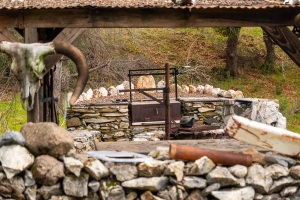 a view of a bunch of trees and bushes
