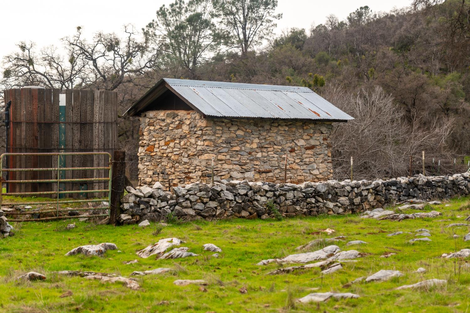 0 Skunk Gulch Road Murphys, CA 95247 - Photo 35 of 67 a backyard of a house with lots of green space