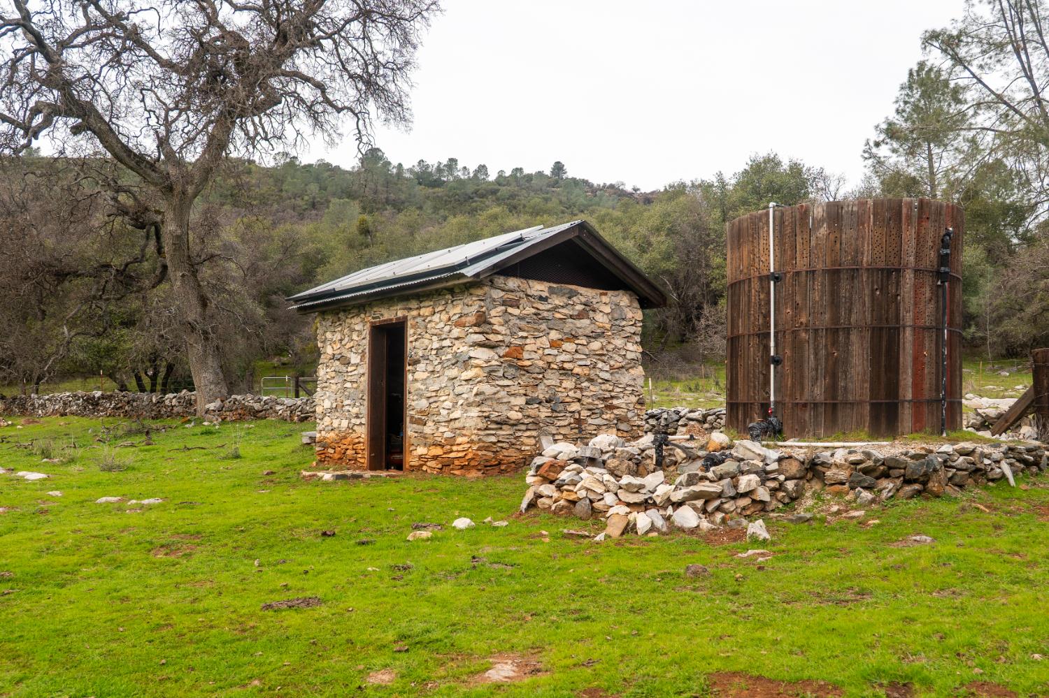 0 Skunk Gulch Road Murphys, CA 95247 - Photo 36 of 67 a view of a backyard with large trees