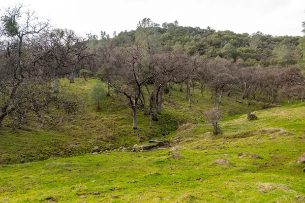 a view of mountains and valleys