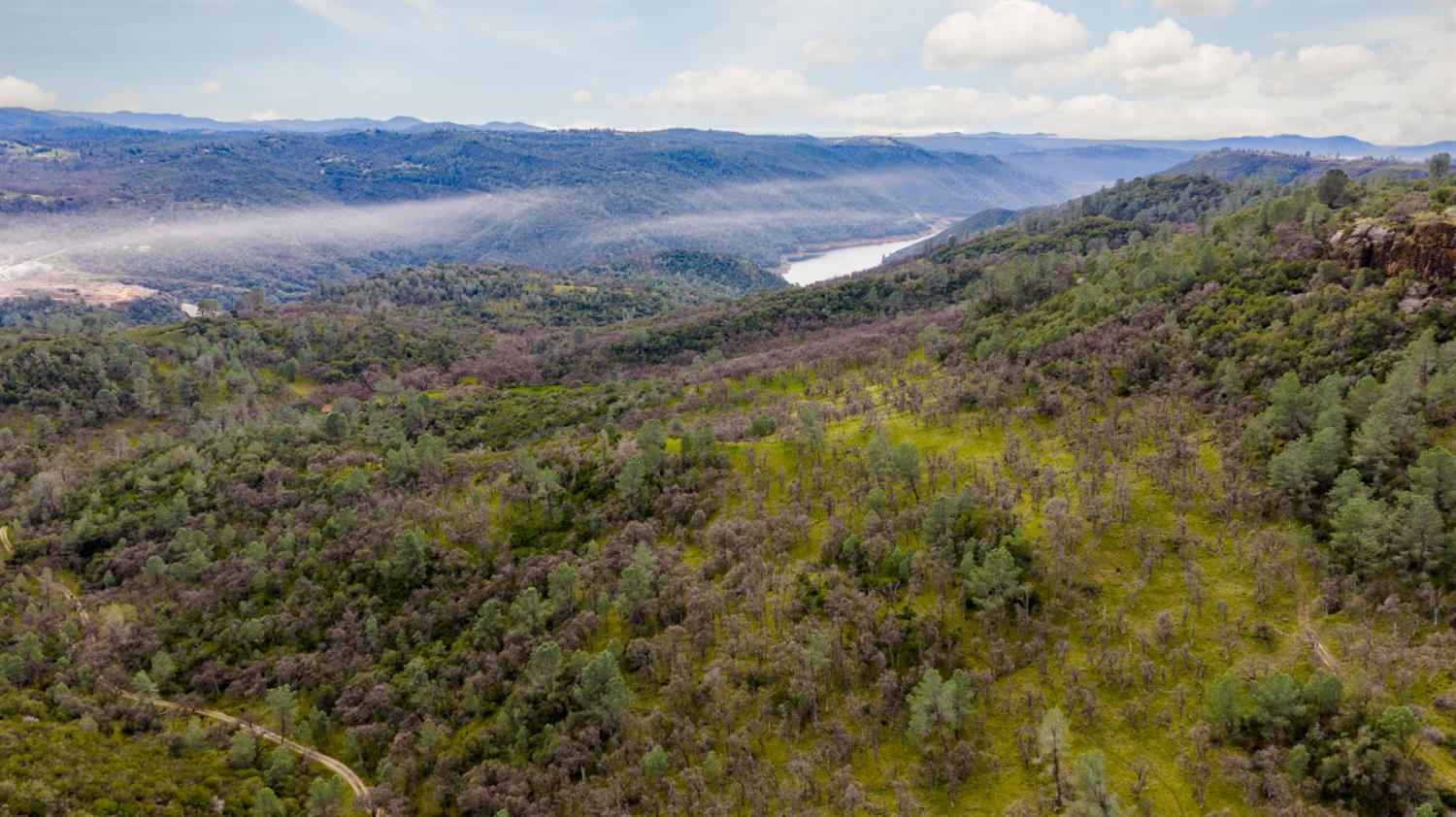 0 Skunk Gulch Road Murphys, CA 95247 - Photo 55 of 67 a view of a bunch of trees and mountains