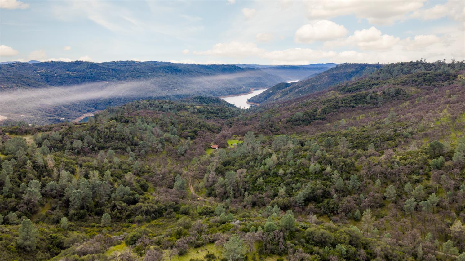 0 Skunk Gulch Road Murphys, CA 95247 - Photo 56 of 67 a view of a lush green hillside and a mountain