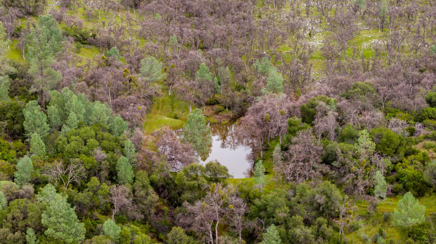 0 Skunk Gulch Road Murphys, CA 95247 - Photo 58 of 67