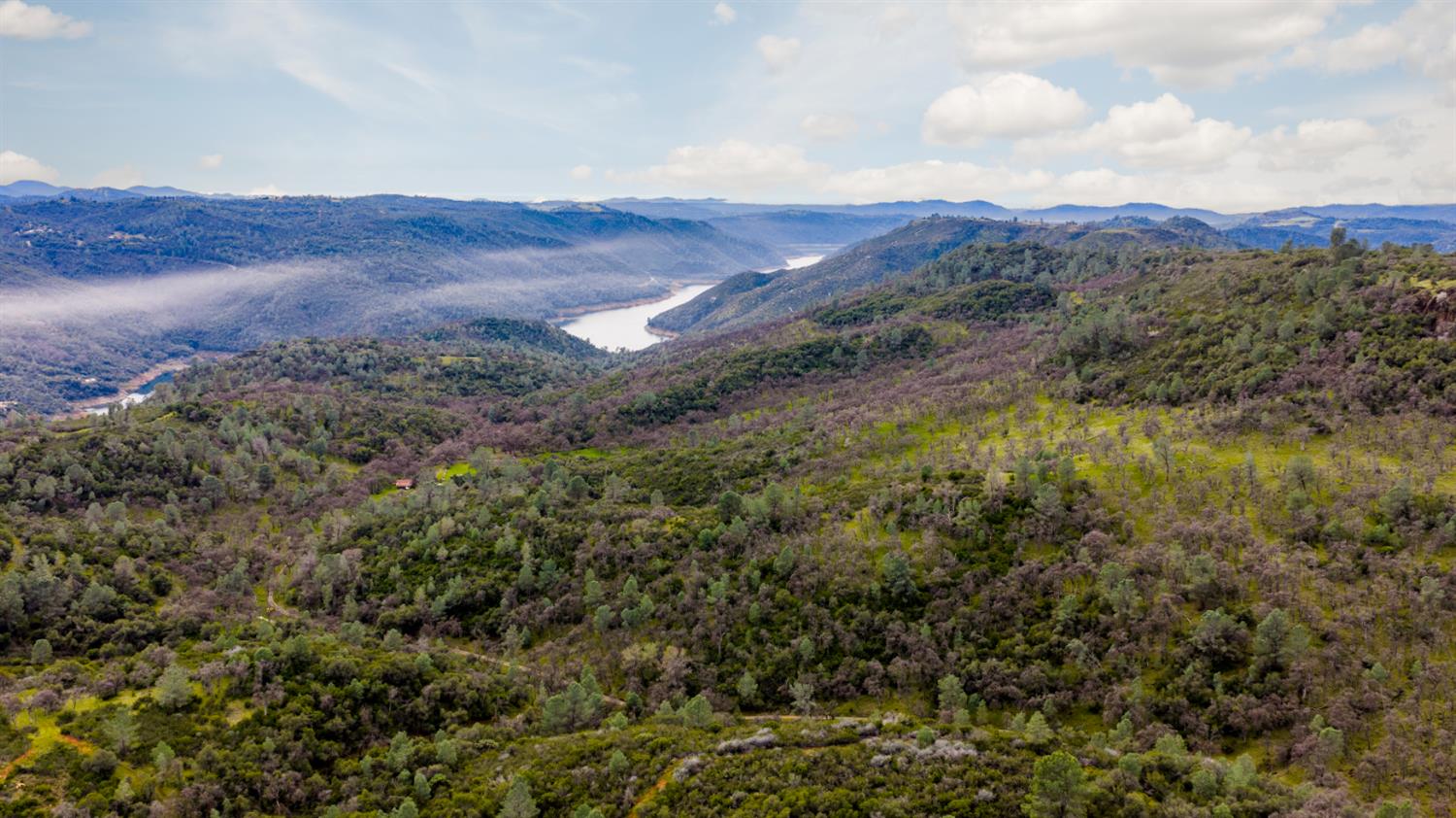0 Skunk Gulch Road Murphys, CA 95247 - Photo 61 of 67 a view of a mountain range with lush green forest
