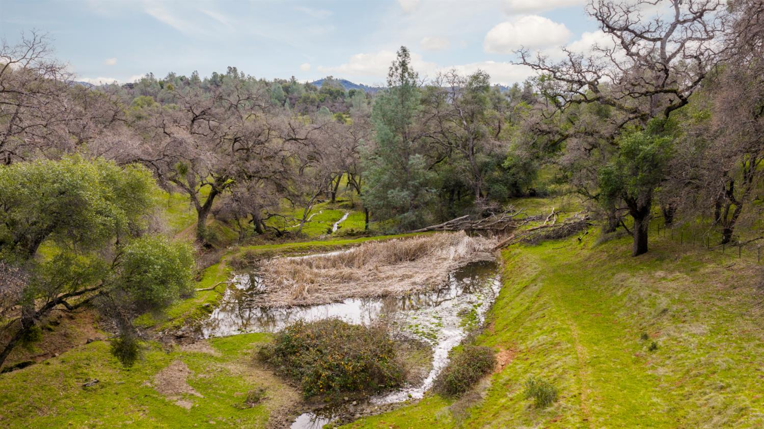 0 Skunk Gulch Road Murphys, CA 95247 - Photo 62 of 67 a view of a yard with trees