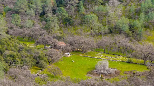 $2,100,000 | 0 Skunk Gulch Road, Murphys, CA 95247