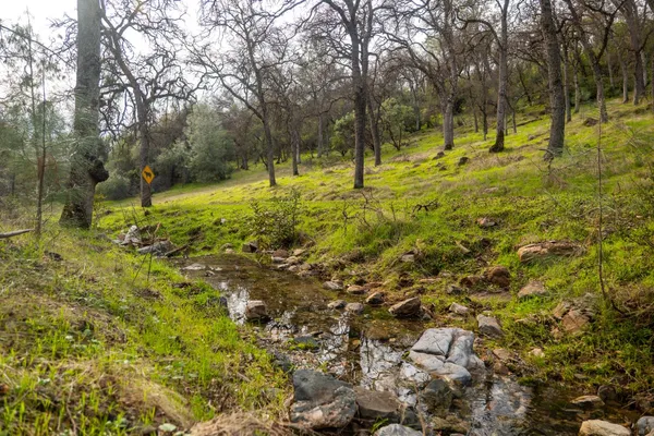 a bathroom with a granite countertop sink a mirror and shower