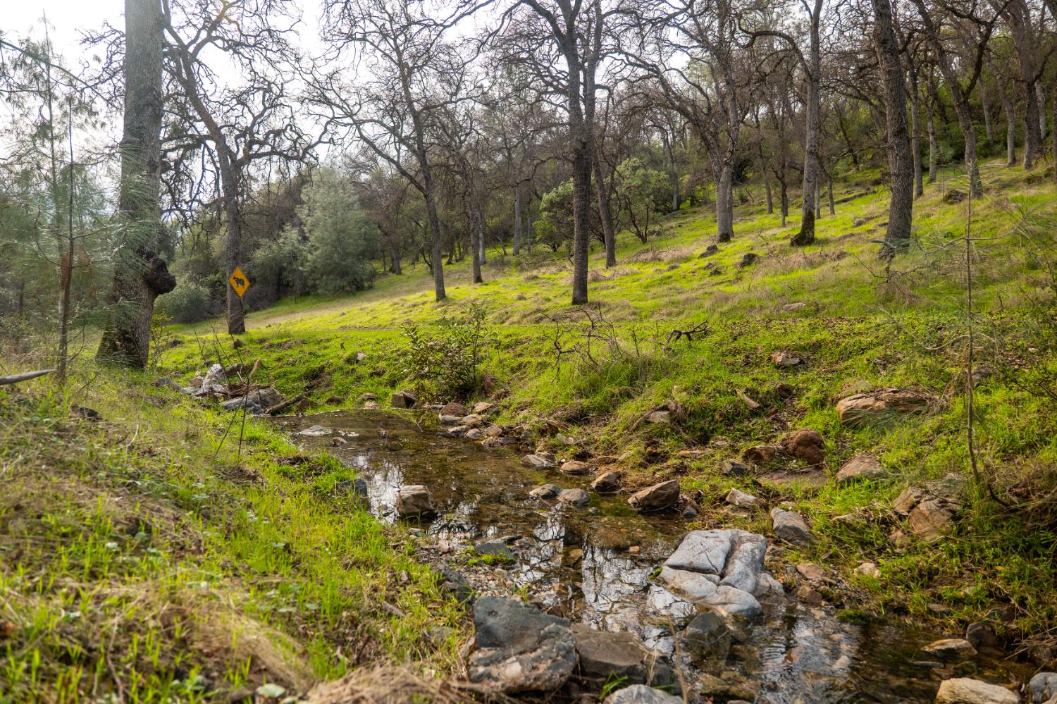 0 Skunk Gulch Road Murphys, CA 95247 - Photo 9 of 67