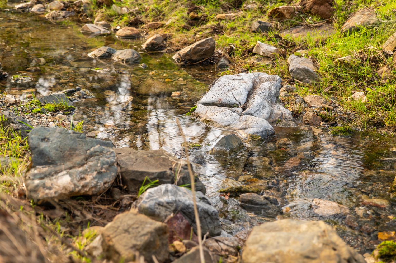 0 Skunk Gulch Road Murphys, CA 95247 - Photo 10 of 67
