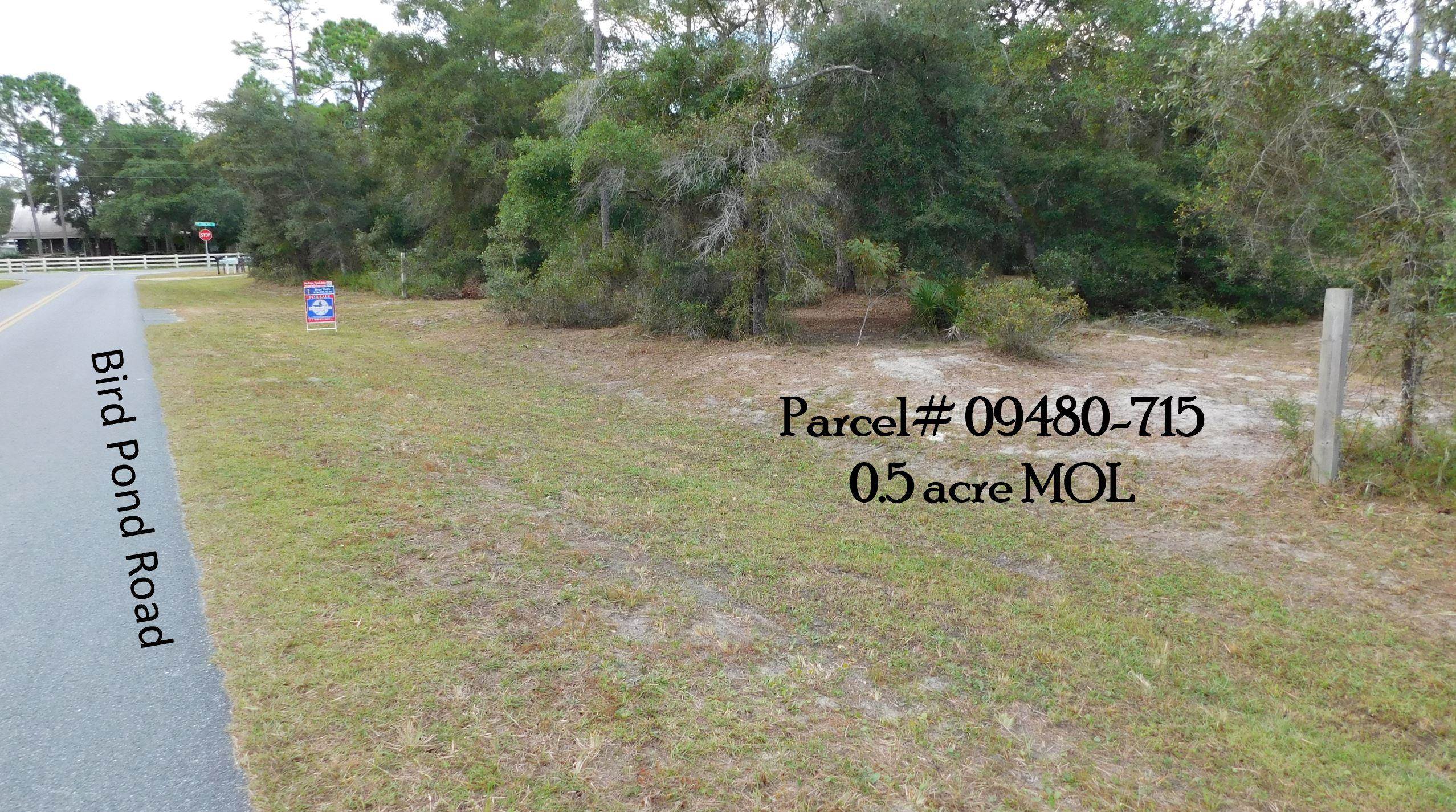 912 Bird Pond Road Steinhatchee, FL 32359 - Photo 1 of 12 Gallery Image 1