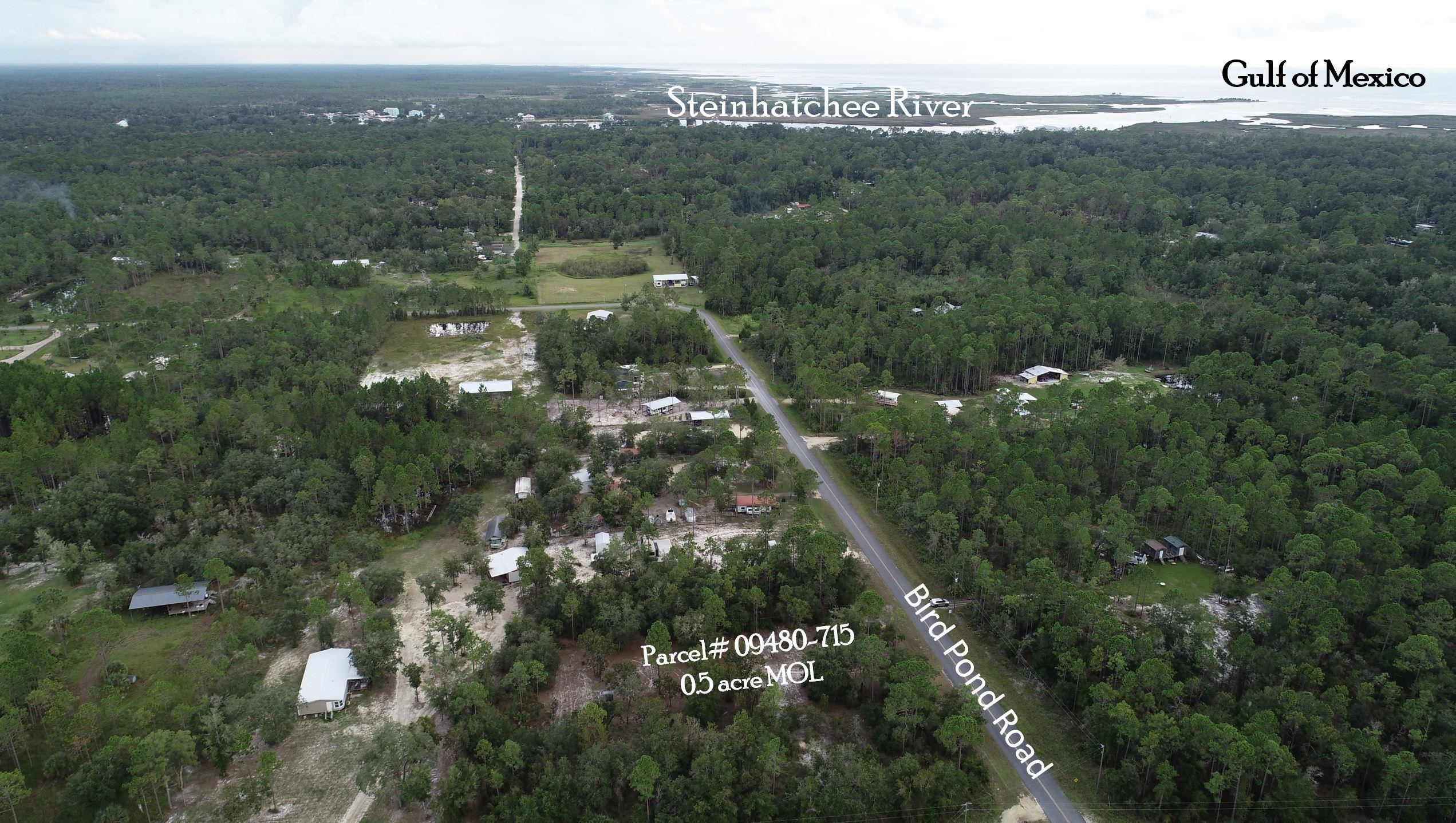 912 Bird Pond Road Steinhatchee, FL 32359 - Photo 11 of 12 Gallery Image 11