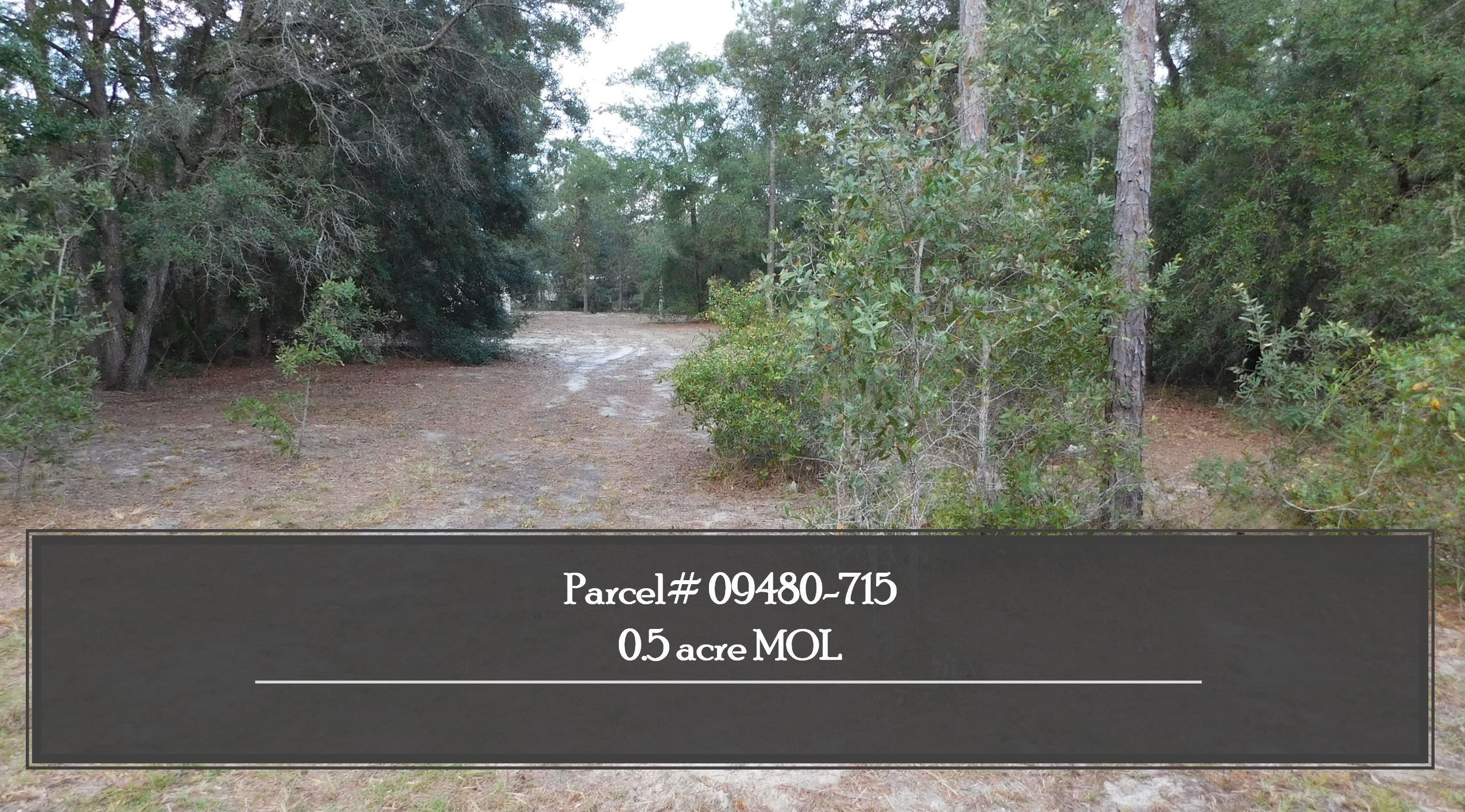 912 Bird Pond Road Steinhatchee, FL 32359 - Photo 12 of 12 Gallery Image 12