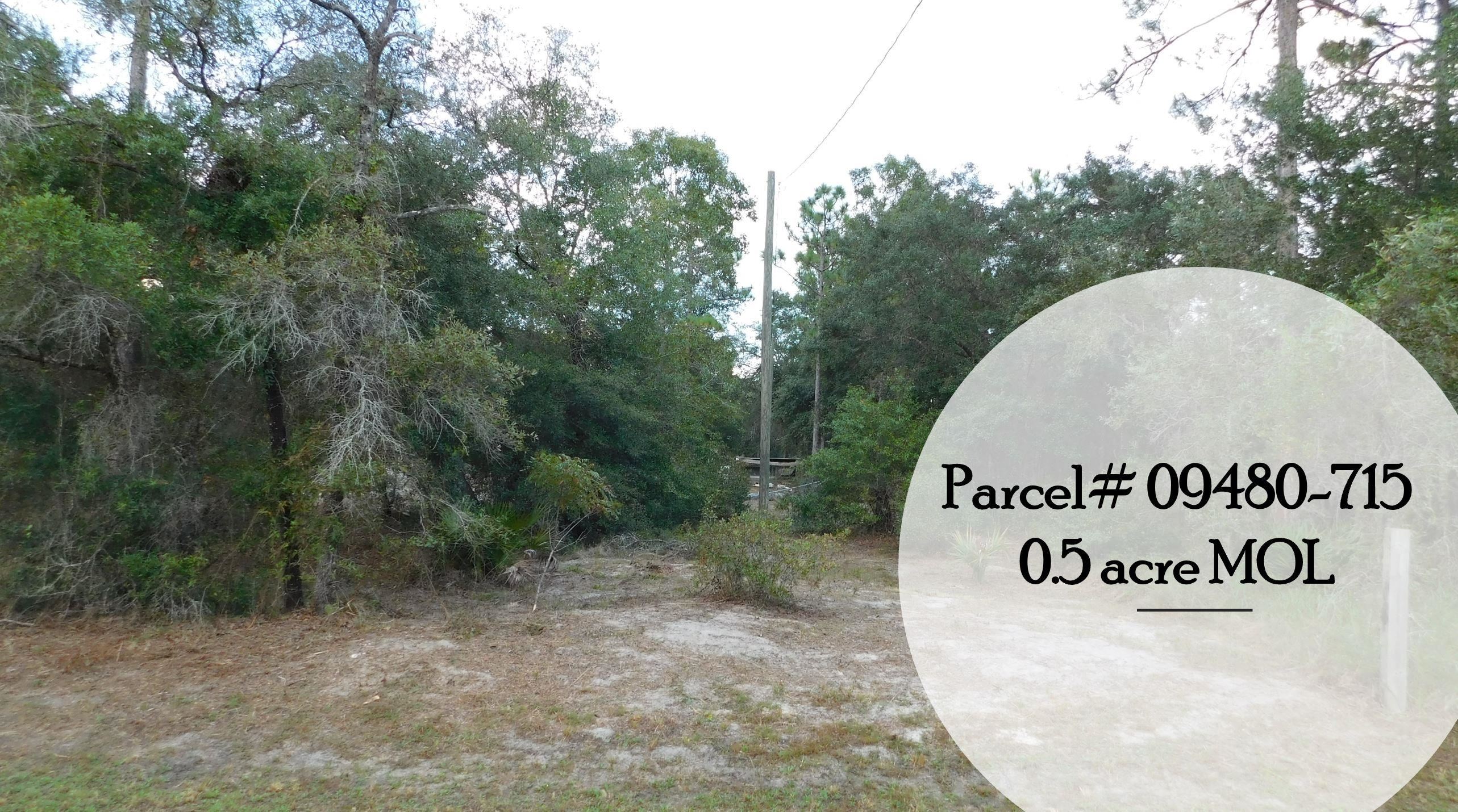 912 Bird Pond Road Steinhatchee, FL 32359 - Photo 2 of 12 Gallery Image 2