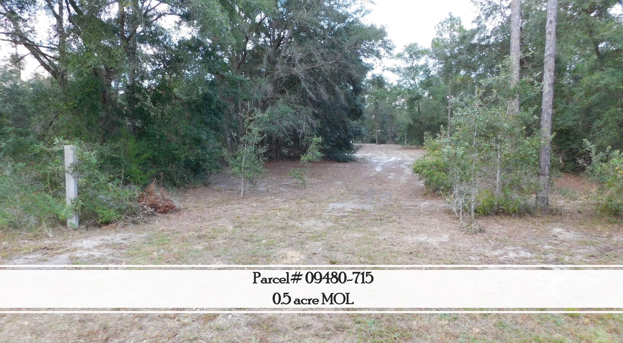912 Bird Pond Road Steinhatchee, FL 32359 - Photo 3 of 12 Gallery Image 3