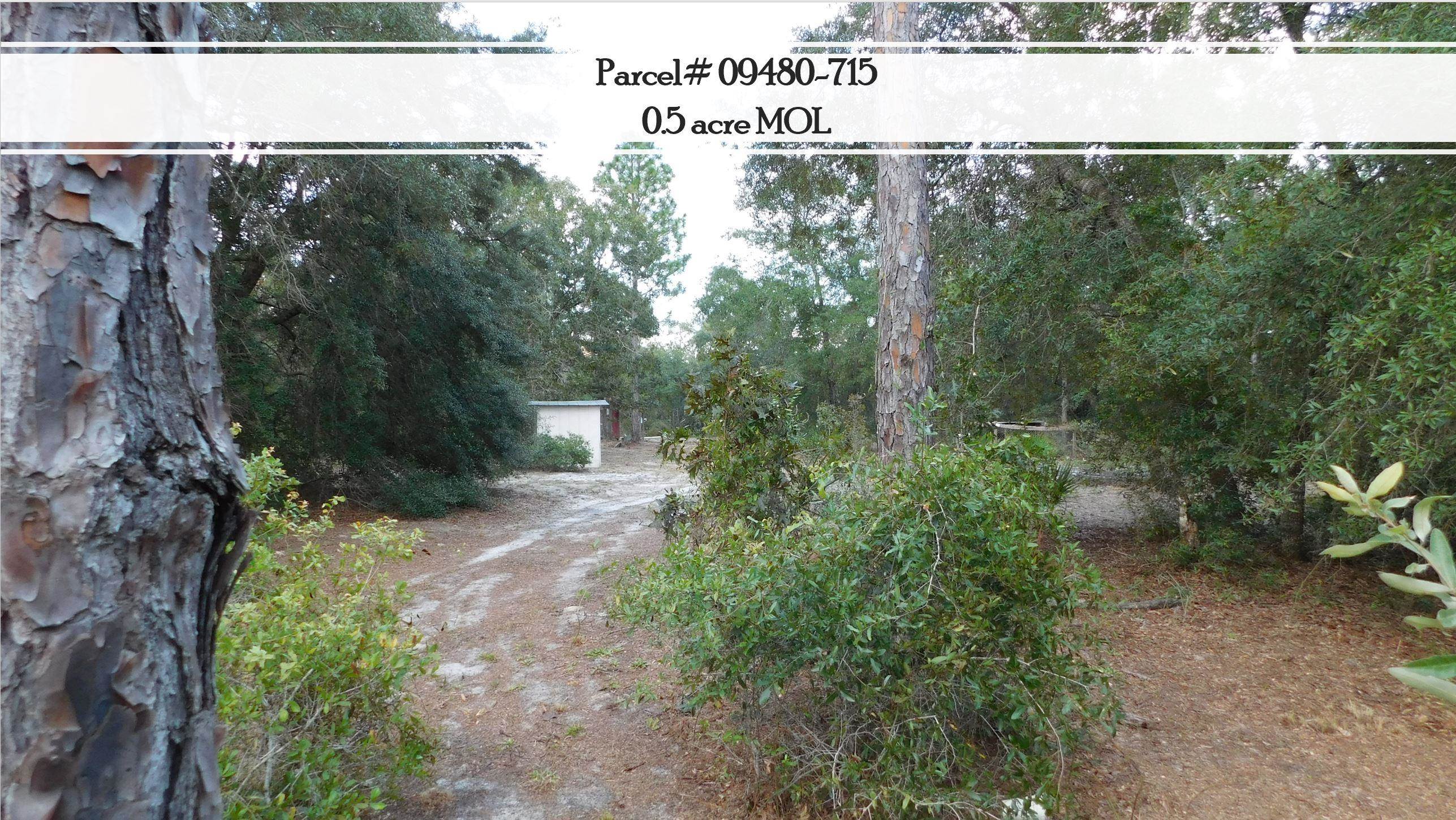 912 Bird Pond Road Steinhatchee, FL 32359 - Photo 4 of 12 Gallery Image 4