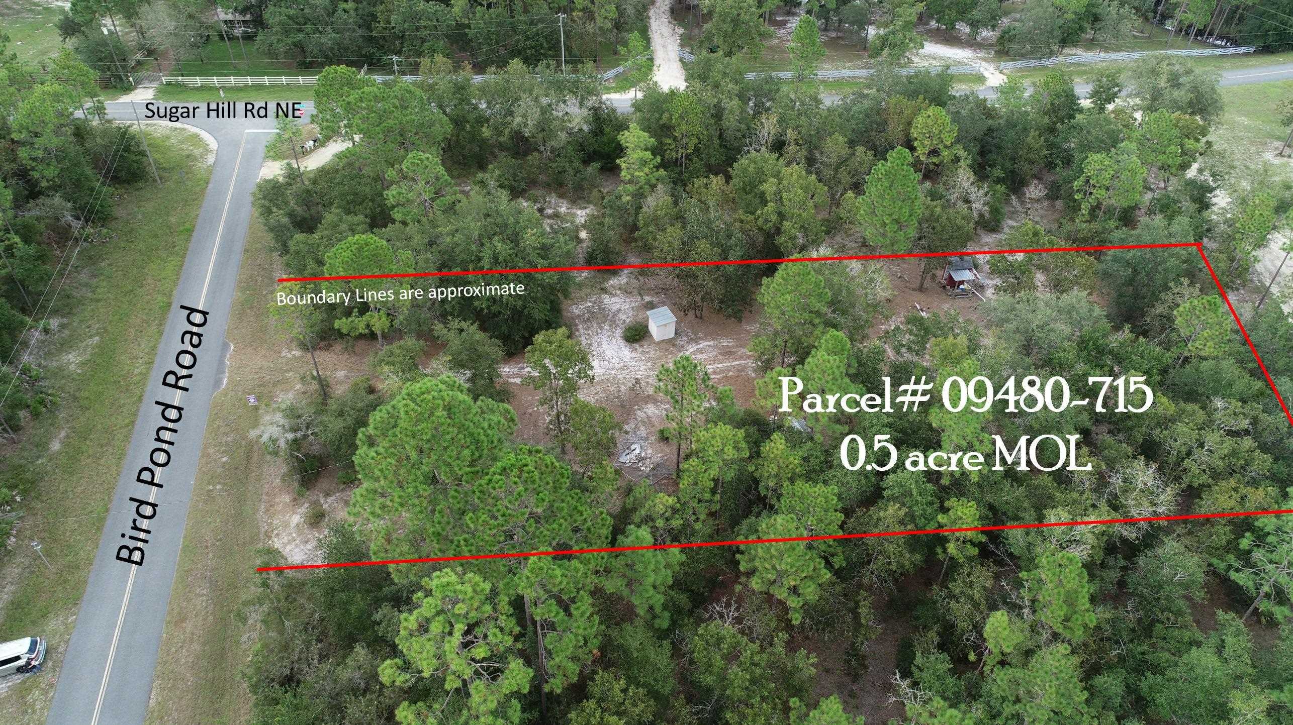 912 Bird Pond Road Steinhatchee, FL 32359 - Photo 5 of 12 Gallery Image 5