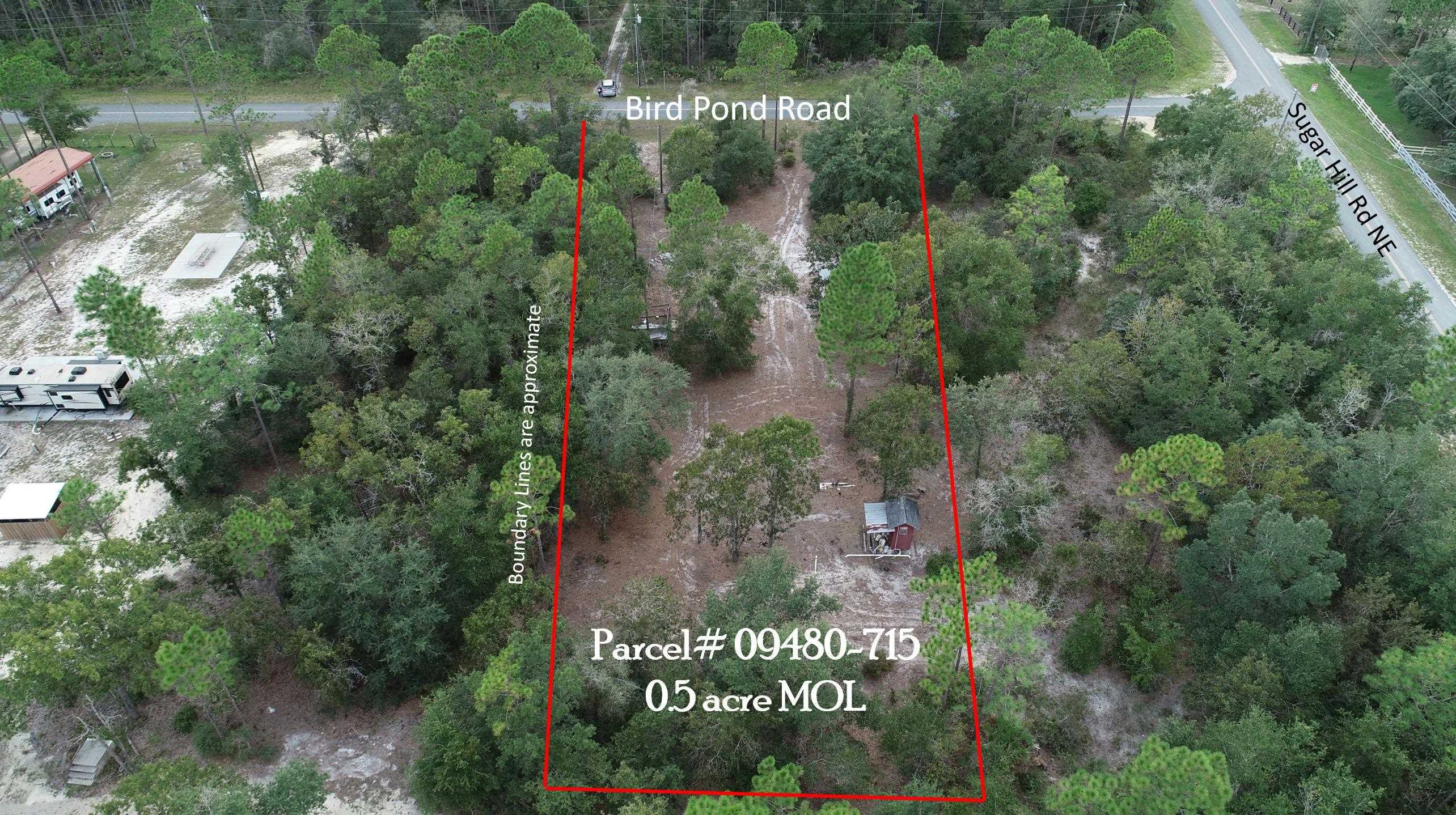 912 Bird Pond Road Steinhatchee, FL 32359 - Photo 6 of 12 Gallery Image 6