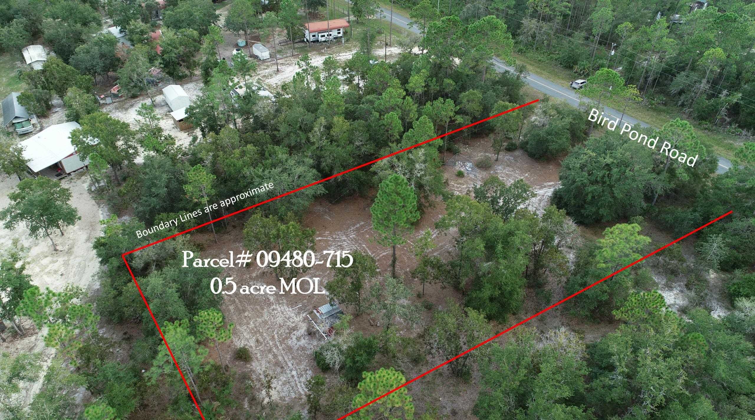 912 Bird Pond Road Steinhatchee, FL 32359 - Photo 7 of 12 Gallery Image 7