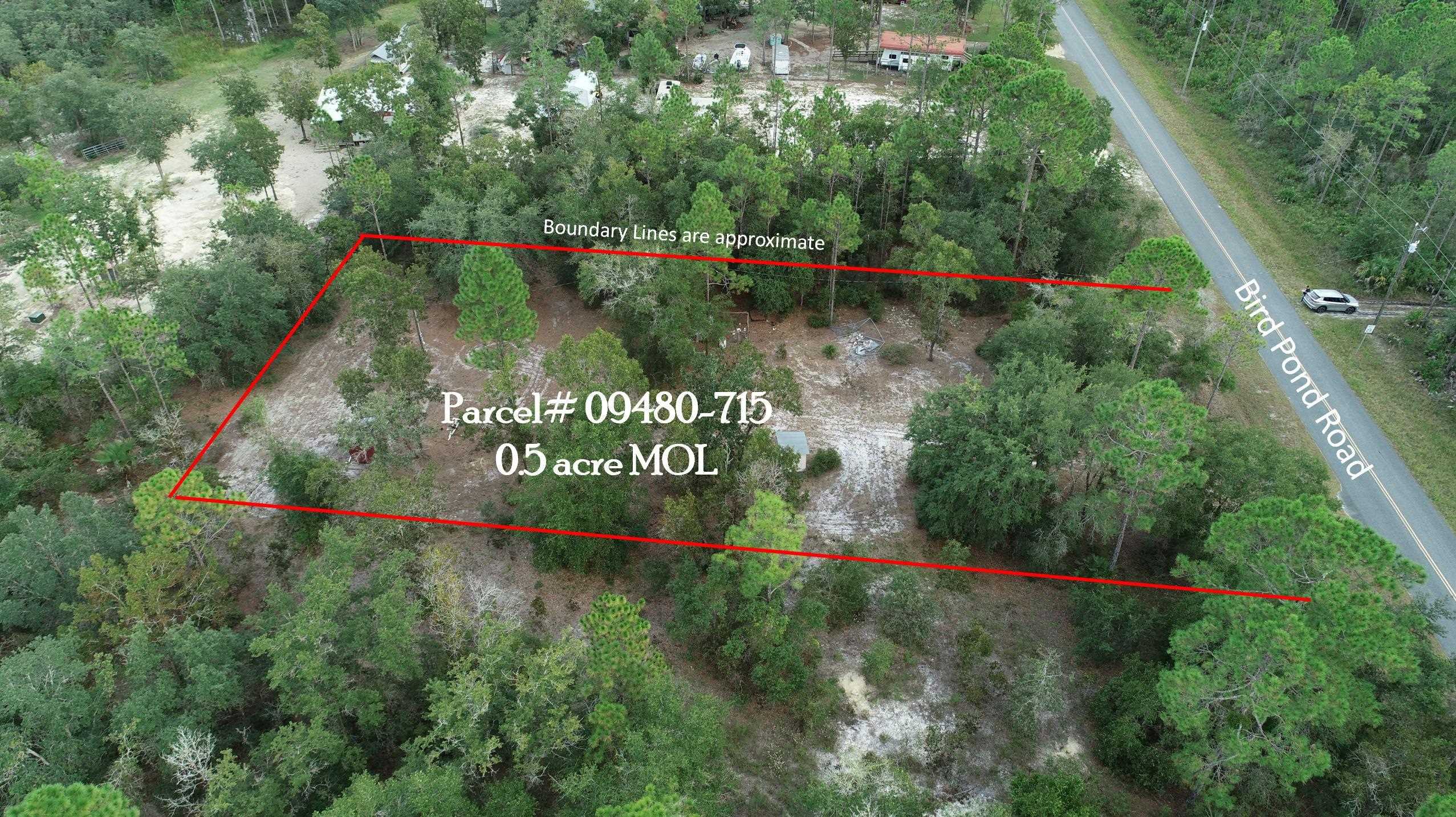 912 Bird Pond Road Steinhatchee, FL 32359 - Photo 8 of 12 Gallery Image 8