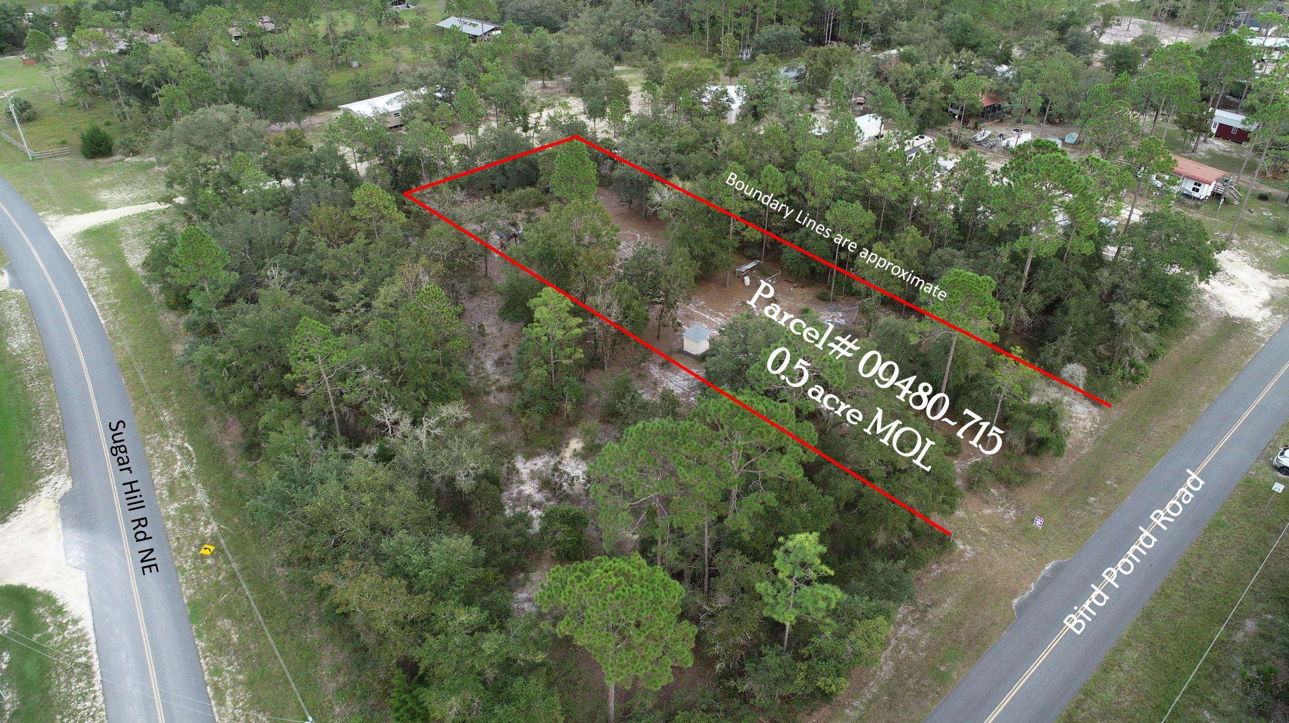 912 Bird Pond Road Steinhatchee, FL 32359 - Photo 9 of 12 Gallery Image 9