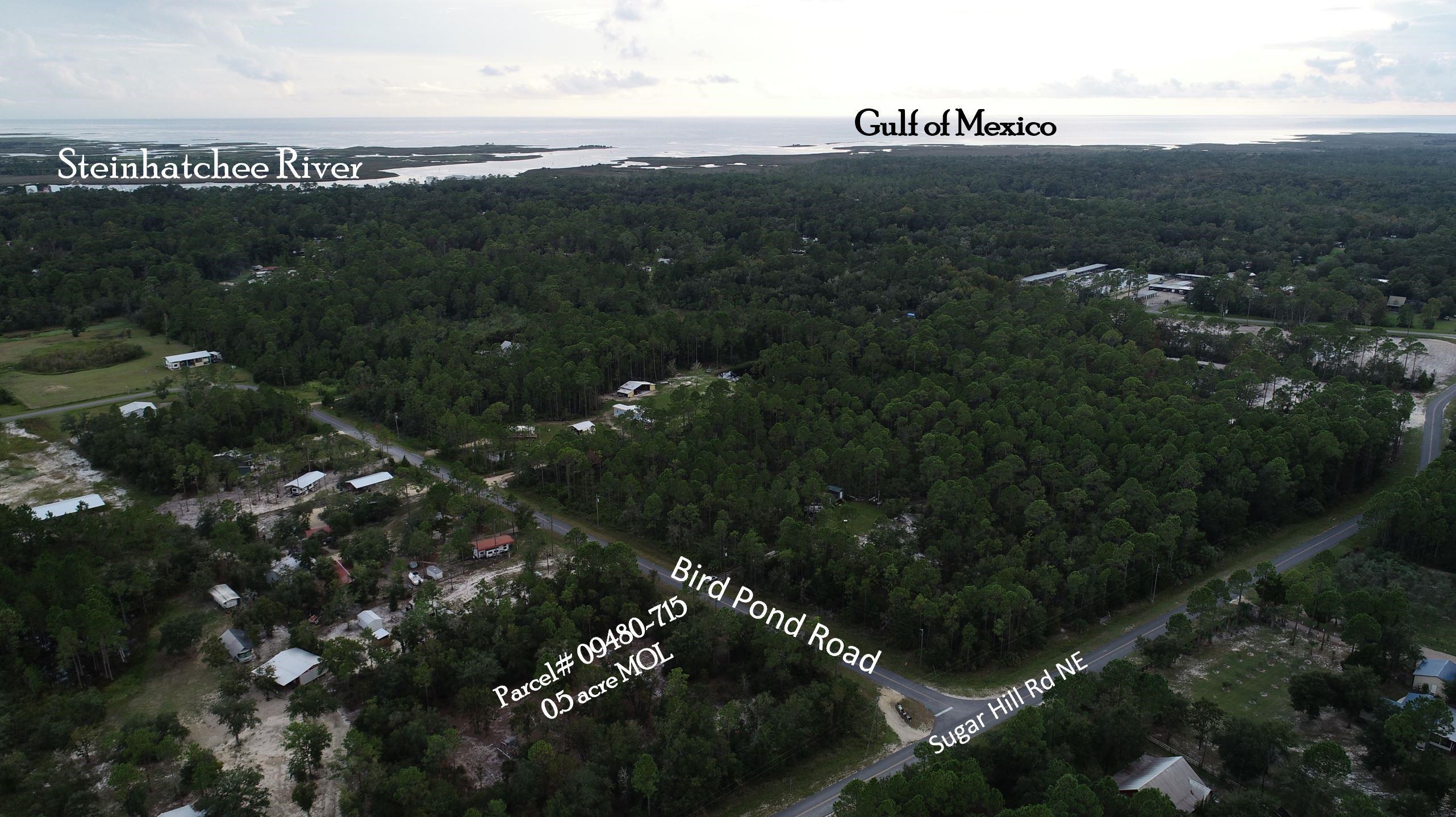 912 Bird Pond Road Steinhatchee, FL 32359 - Photo 10 of 12 Gallery Image 10