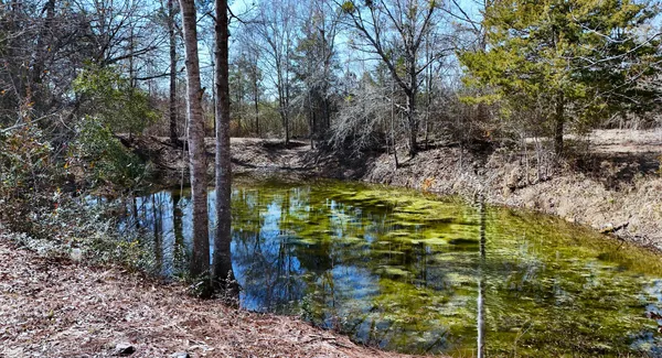 a view of a yard with fountain