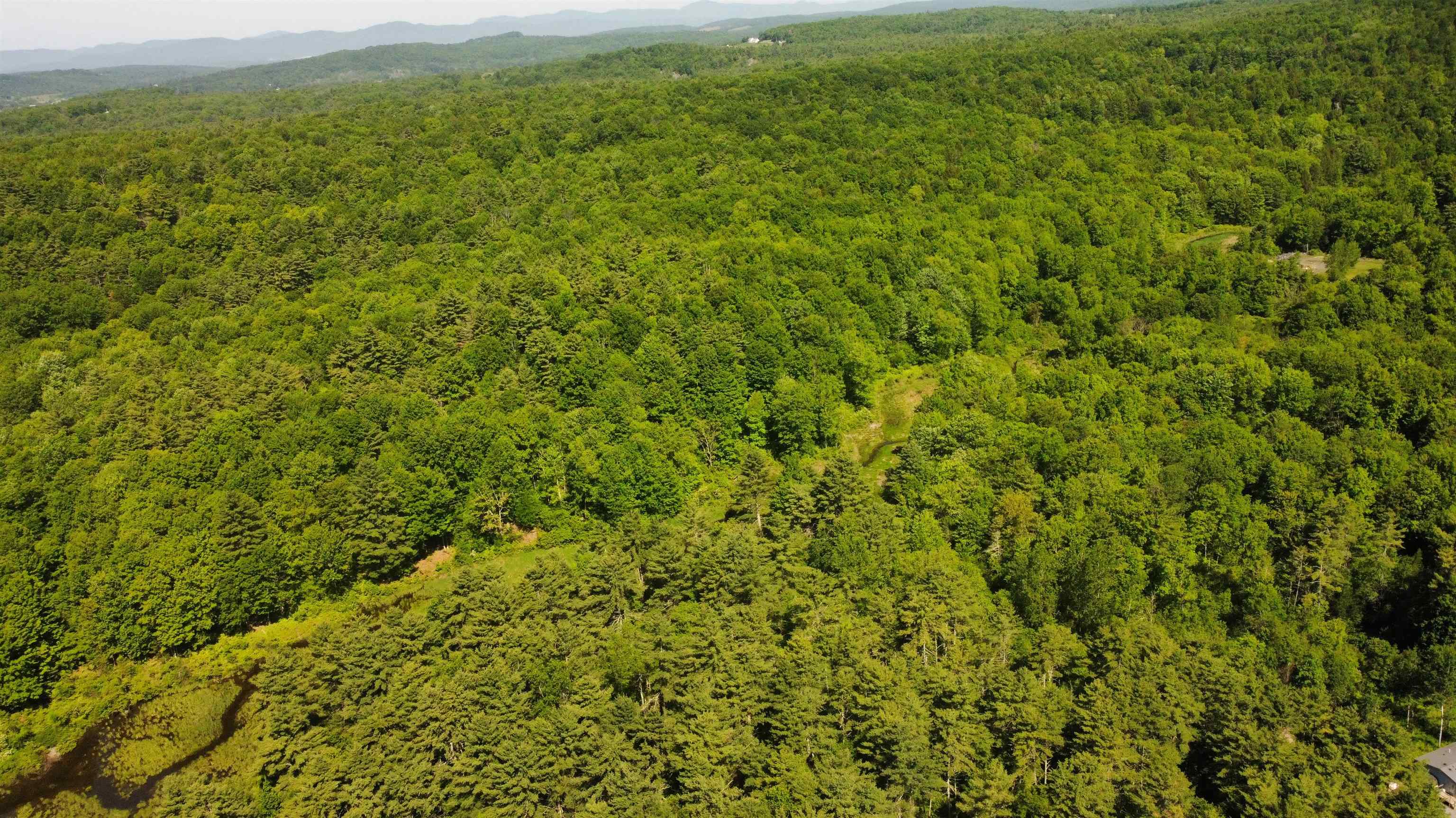 0 Bullfrog Hollow Road Wells, VT 05774 - Photo 6 of 26