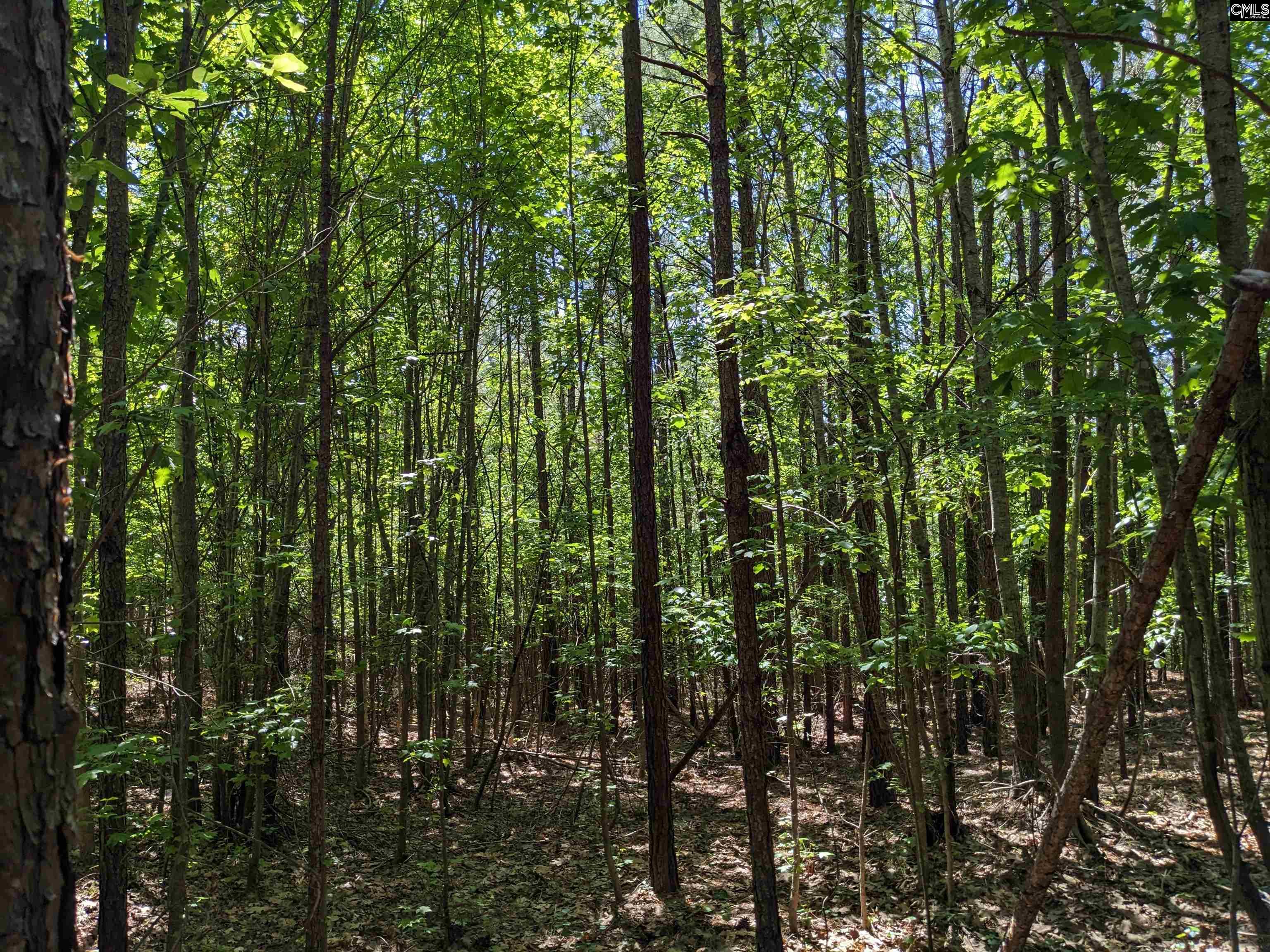 Jewel Drive Ridgeway, SC 29130 - Photo 17 of 20