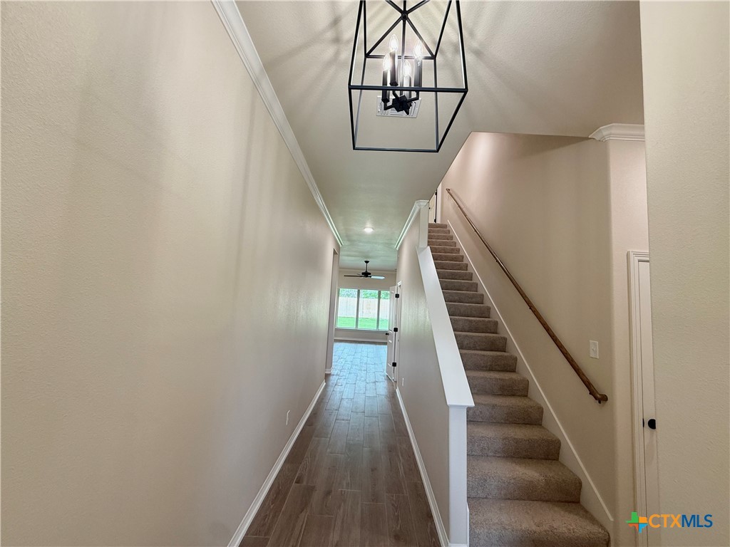 3502 Prato Lane Temple, TX 76502 - Photo 2 of 45