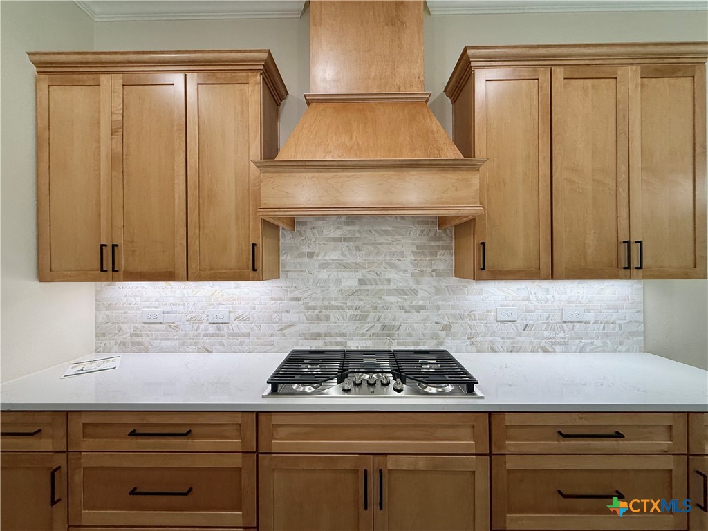 3502 Prato Lane Temple, TX 76502 - Photo 8 of 45