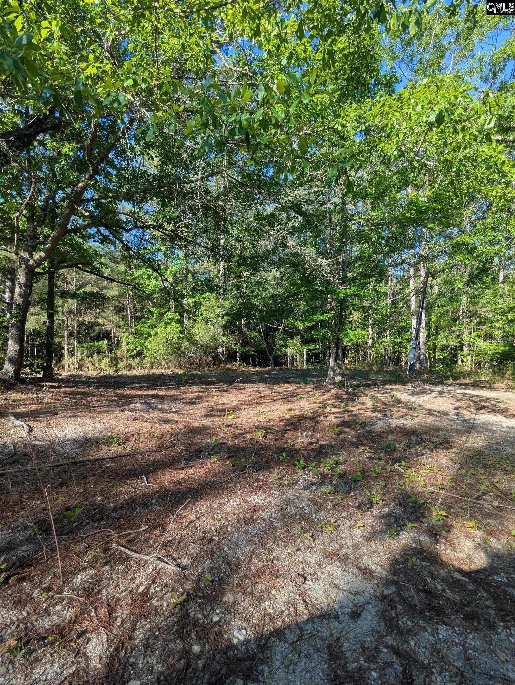 1089 Chestnut Hill Road Elgin, SC 29045 - Photo 17 of 17