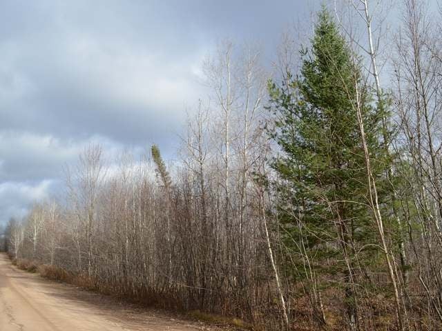 On Armstrong Creek Road Tomahawk, WI 54487 - Photo 19 of 20 Gallery Image 19