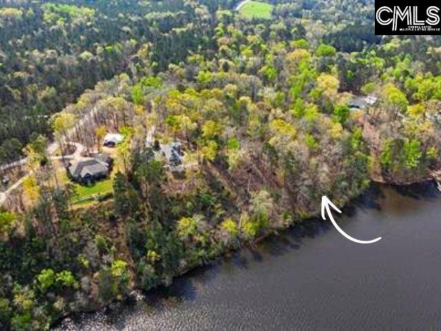 157 Saluda Bluff Road Batesburg, SC 29006 - Photo 2 of 3