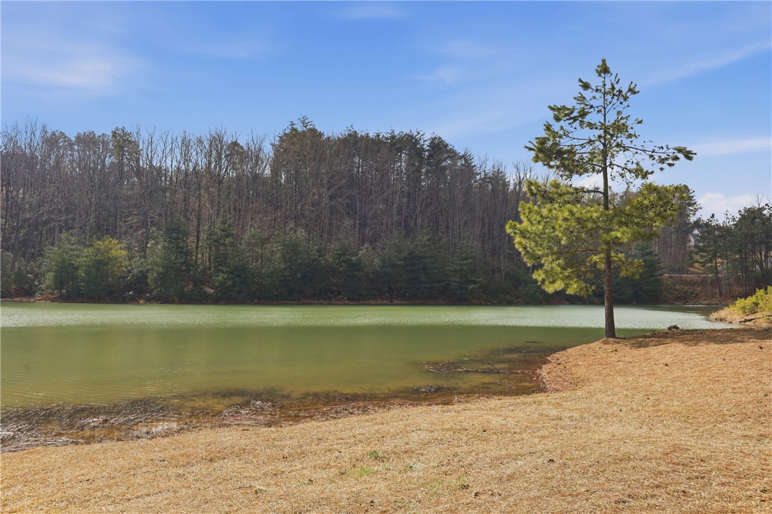 S-28 Tamassee Ridge Way Salem, SC 29676 - Photo 11 of 21