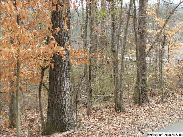 2175 Wayne Road, Unit 1 6 AC Birmingham, AL 35210 - Photo 4 of 4
