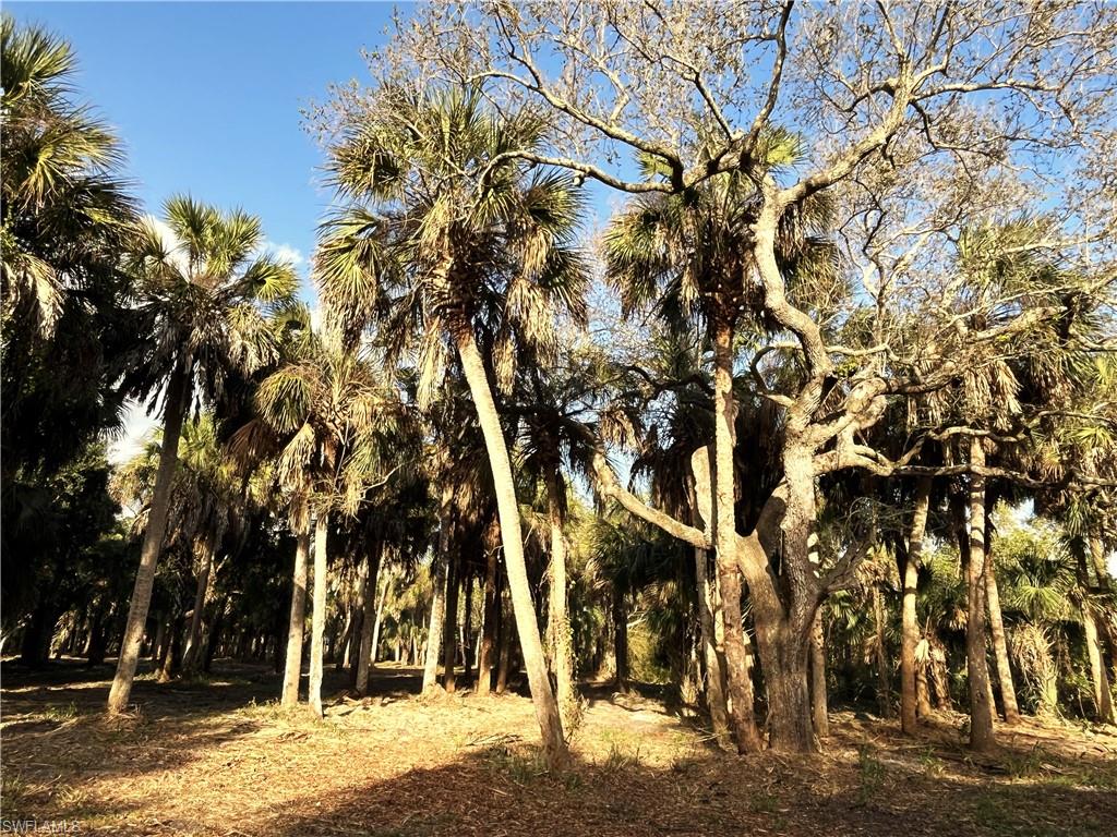 2250 North Road Naples, FL 34104 - Photo 11 of 15