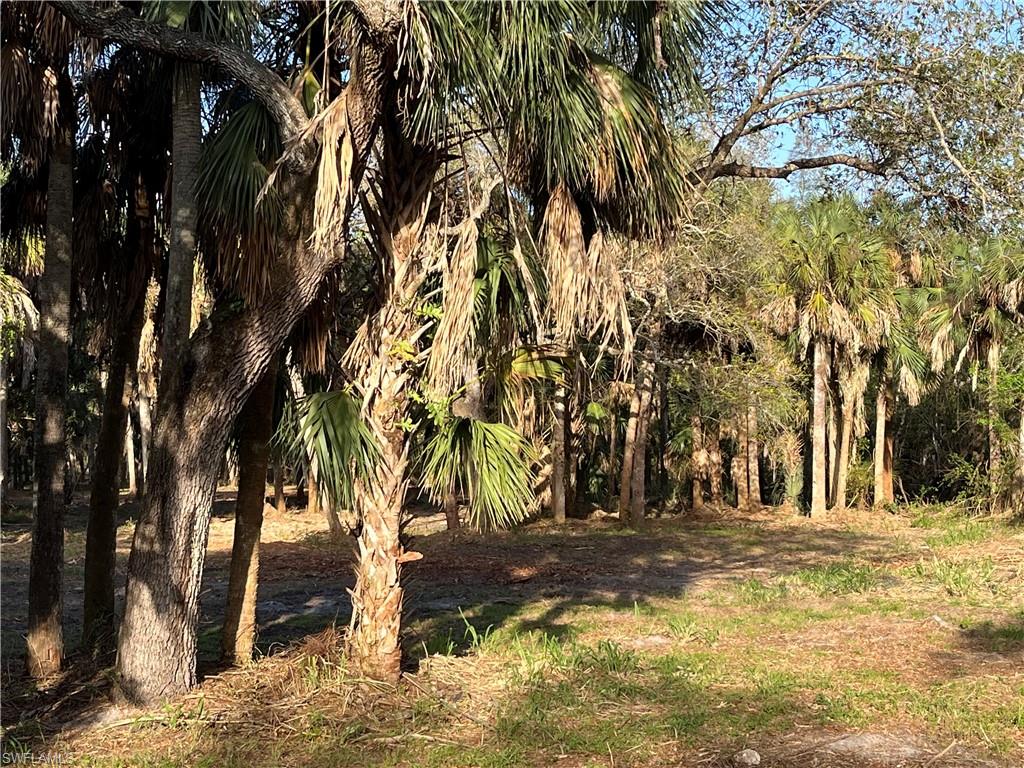 2250 North Road Naples, FL 34104 - Photo 12 of 15