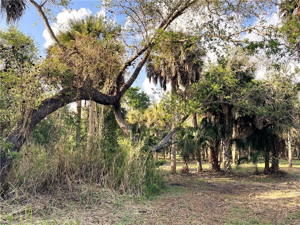 2250 North Road Naples, FL 34104 - Photo 13 of 15