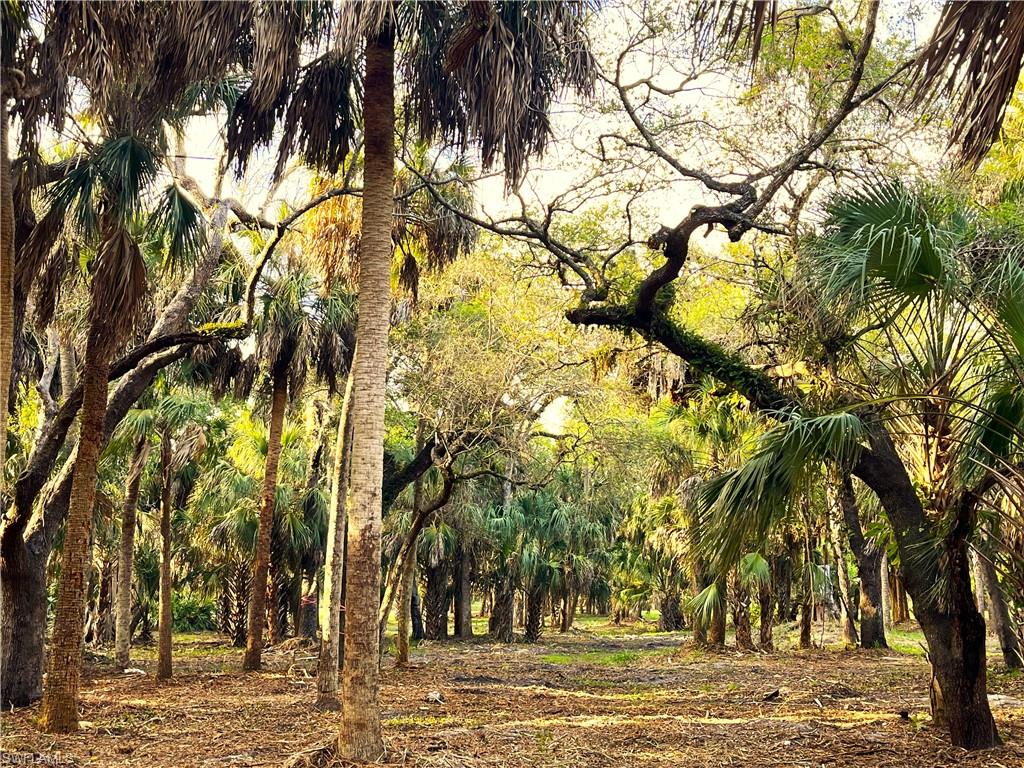 2250 North Road Naples, FL 34104 - Photo 6 of 15