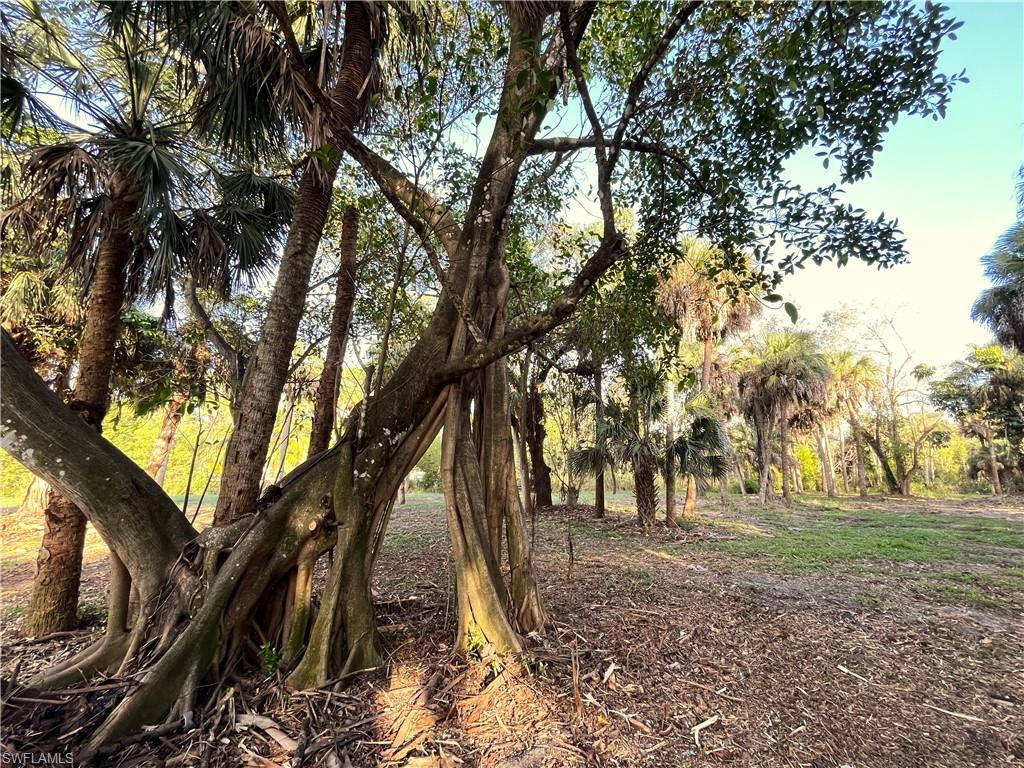 2250 North Road Naples, FL 34104 - Photo 7 of 15