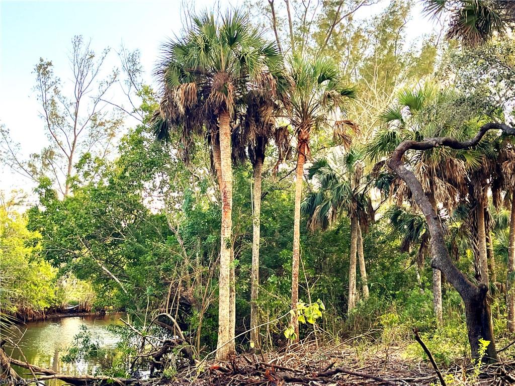 2250 North Road Naples, FL 34104 - Photo 8 of 15