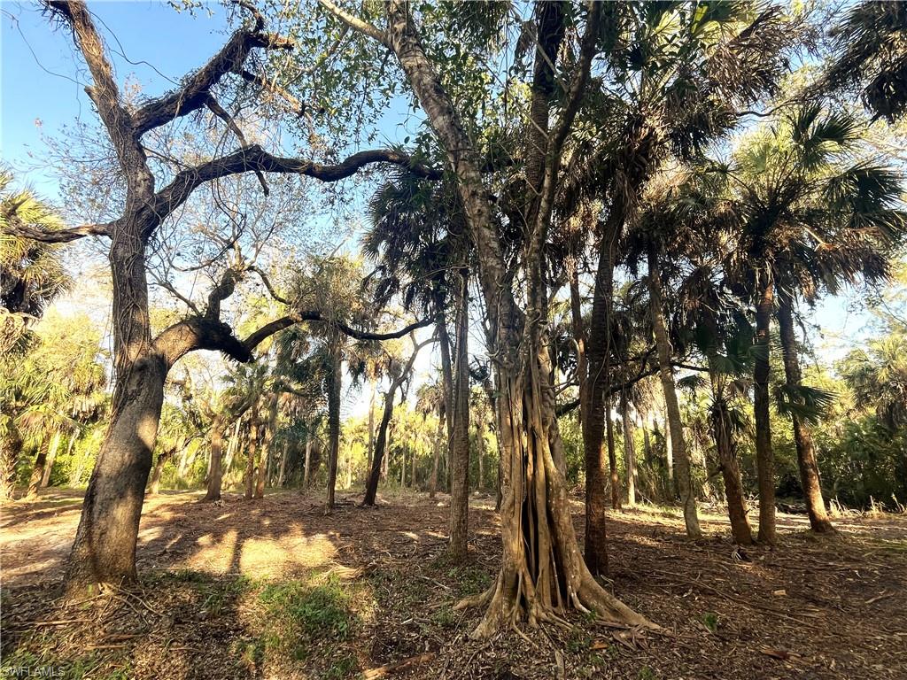 2250 North Road Naples, FL 34104 - Photo 9 of 15