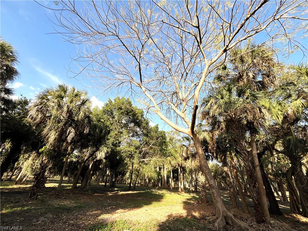 2250 North Road Naples, FL 34104 - Photo 10 of 15