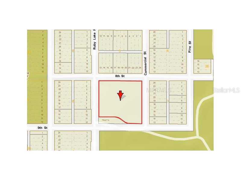 11753 Ruby Lake Road Orlando, FL 32836 - Photo 1 of 1 Aerial View